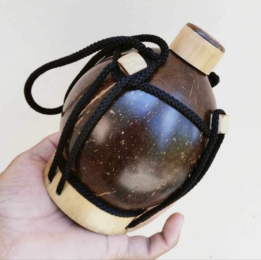 Bottle made of coconut